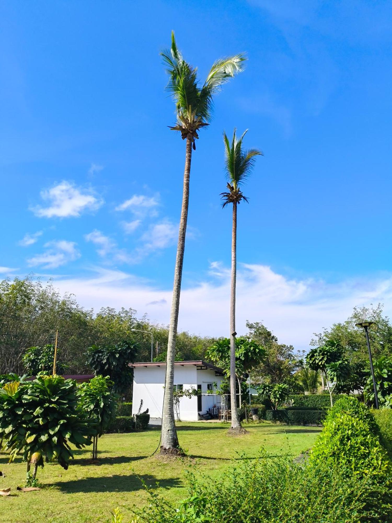 The Lodge At Koh Kood Ko Kut ภายนอก รูปภาพ